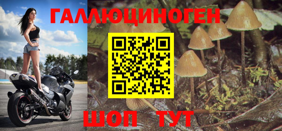 Белгород  сколько стоит  Вход с VPN  Галлюциногенные грибы Magic Shrooms 